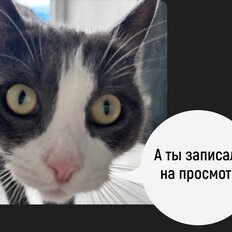 дом + 8,6 сотки, участок - изображение 3