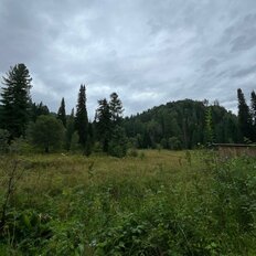 2,5 га, участок - изображение 5