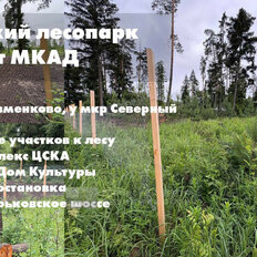 7 соток, участок - изображение 2