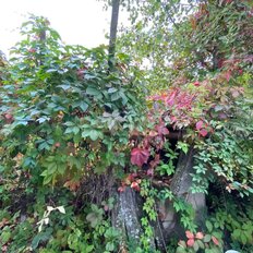 дом + 6,6 сотки, участок - изображение 1