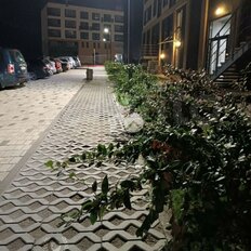 Квартира 36,5 м², 1-комнатная - изображение 2