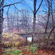 5 соток, участок - изображение 3