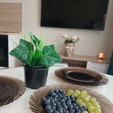 Квартира 25,6 м², студия - изображение 1