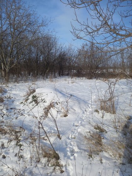 7,9 сотки, участок 25 000 000 ₽ - изображение 24