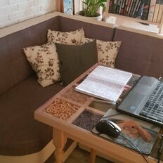 Квартира 33 м², студия - изображение 5