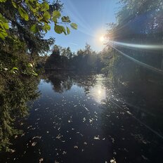 Квартира 52,9 м², 2-комнатная - изображение 1