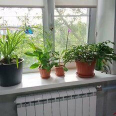 Квартира 25,1 м², 1-комнатная - изображение 5