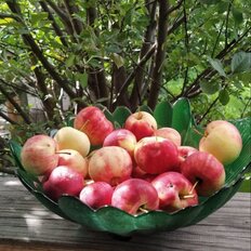 дом + 14,2 сотки, участок - изображение 1