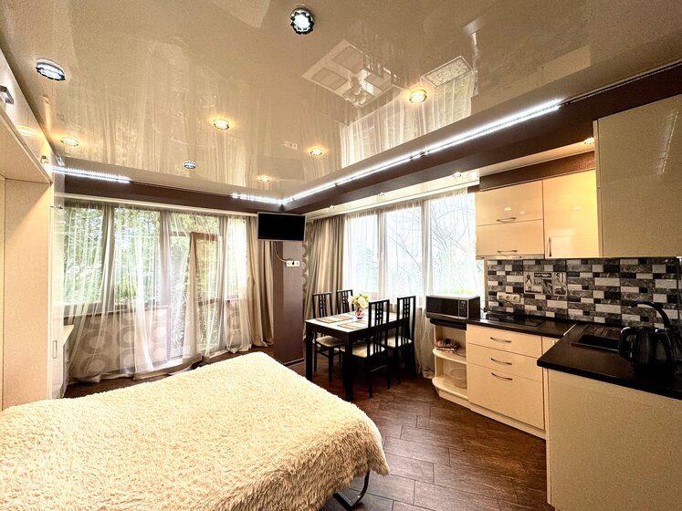 28 м², 1-комнатная квартира 2 490 ₽ в сутки - изображение 71