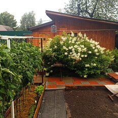 45 соток, участок - изображение 4