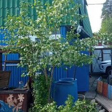 дом + 6,5 сотки, участок - изображение 5