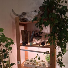 Квартира 33,2 м², 1-комнатная - изображение 3