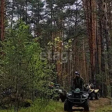 10,3 сотки, участок - изображение 3