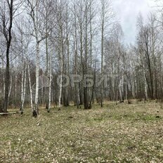 6,6 сотки, участок - изображение 5