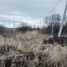 99 соток, участок - изображение 4