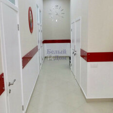 146 м², помещение свободного назначения - изображение 5