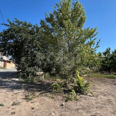 5,1 сотки, участок - изображение 2