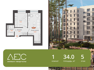 Квартира 34 м², 1-комнатная - изображение 1