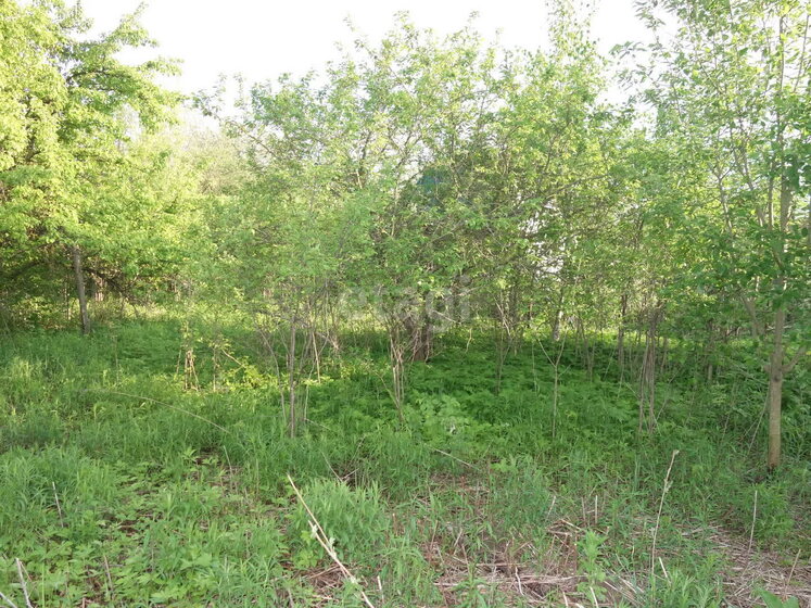 8 соток, участок 750 000 ₽ - изображение 42