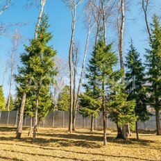 дом + 52 сотки, участок - изображение 4