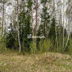 19,2 сотки, участок - изображение 2
