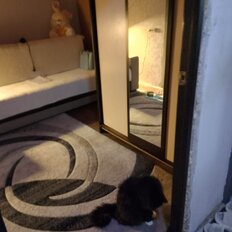 19,8 м², комната - изображение 2