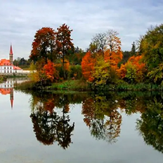 Квартира 44 м², 1-комнатная - изображение 4