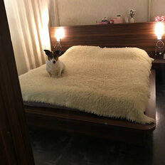 Квартира 60 м², 2-комнатная - изображение 4