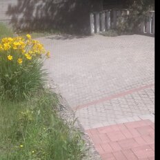 дом + 10 соток, участок - изображение 3