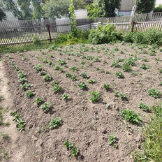 Квартира 38 м², 1-комнатная - изображение 4