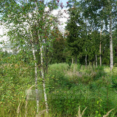 7 соток, участок - изображение 5