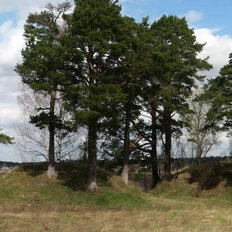 19 соток, участок - изображение 1