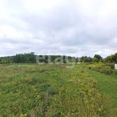 94 сотки, участок коммерческого назначения - изображение 3