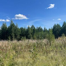 9 соток, участок - изображение 4