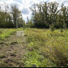 8 соток, участок - изображение 5