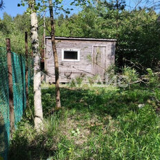 6 соток, участок - изображение 1