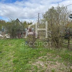 7 соток, участок - изображение 4