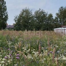 6 соток, участок - изображение 3