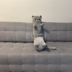 Квартира 27,7 м², студия - изображение 3