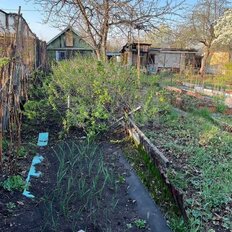 4 сотки, участок - изображение 5