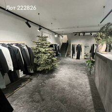 220 м², готовый бизнес - изображение 5