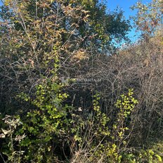 3,9 сотки, участок - изображение 1