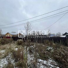 5 соток, участок - изображение 2