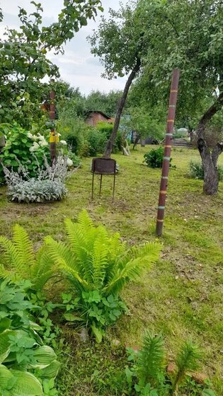 60 м² дом, 32 сотки участок 1 300 000 ₽ - изображение 55