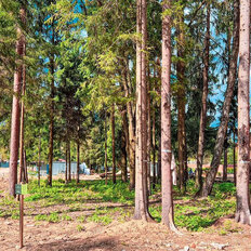 5,3 сотки, участок - изображение 1