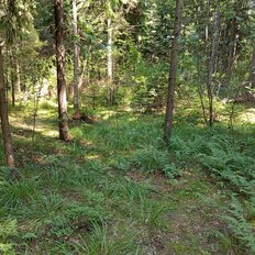 6 соток, участок - изображение 2