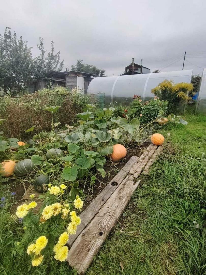 Дом 20 м² в Томск — фото 12 из 15