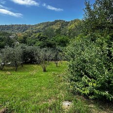 8 соток, участок - изображение 3