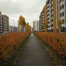 Квартира 25 м², студия - изображение 1