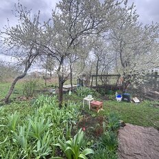 4 сотки, участок - изображение 4